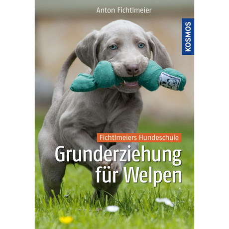 Grunderziehung für Welpen - Fichtlmeiers Hundeschule