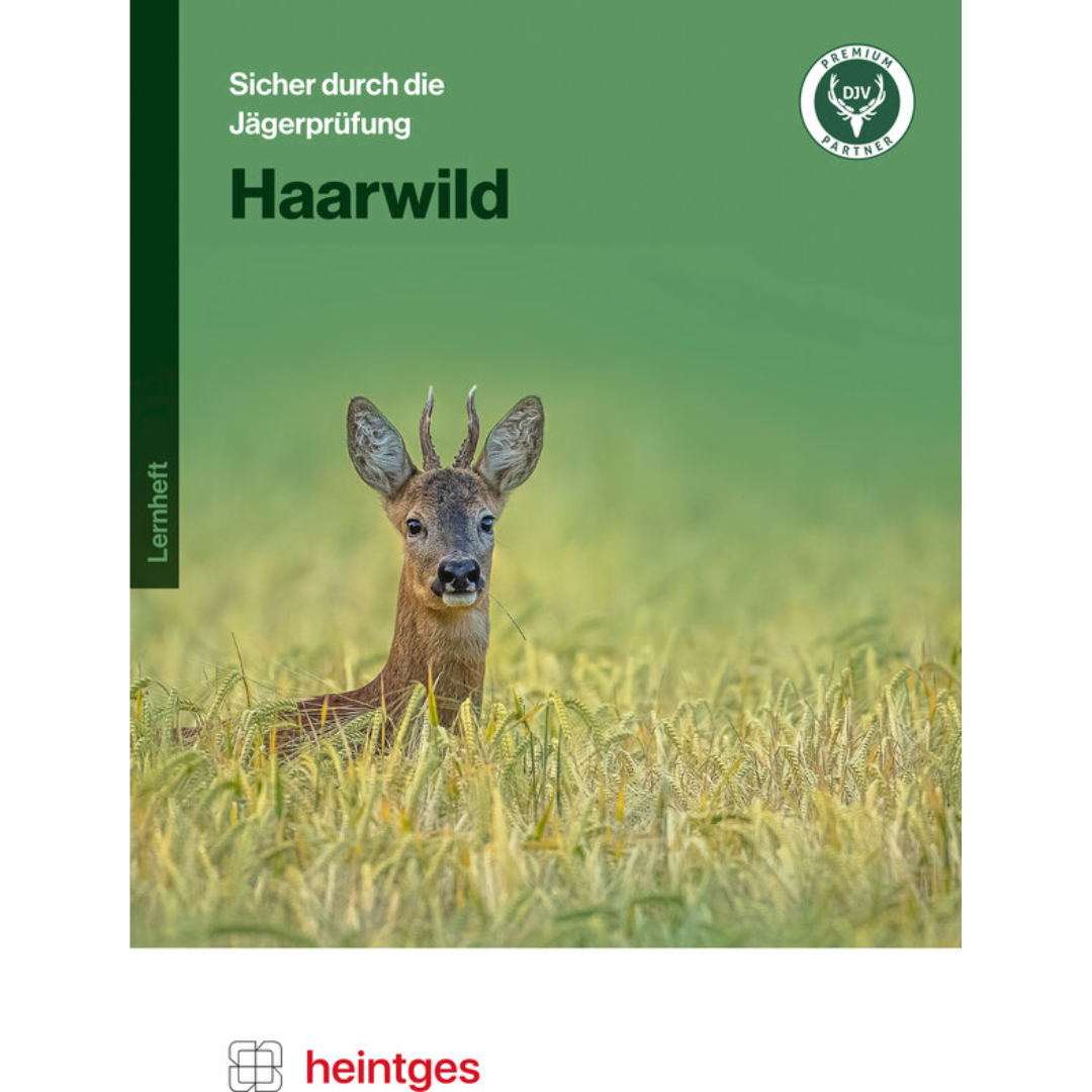 Haarwild - Lernheft - Heintges
