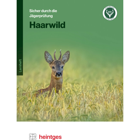 Haarwild - Lernheft - Heintges