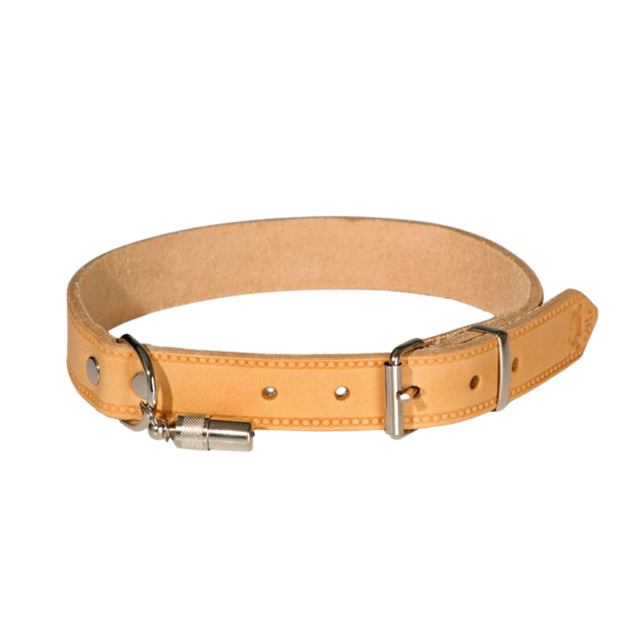 Halsband genietet natur aus Fahlleder mit Adressanhänger