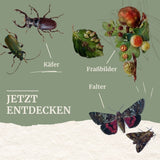 Kerfe des Waldes - Gottfried Amann