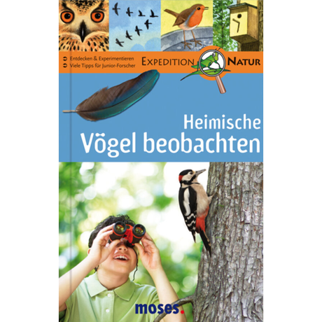 Heimische Vögel beobachten
