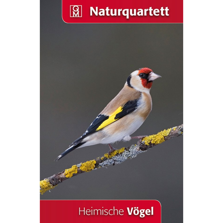 Heimische Vögel Naturquartett