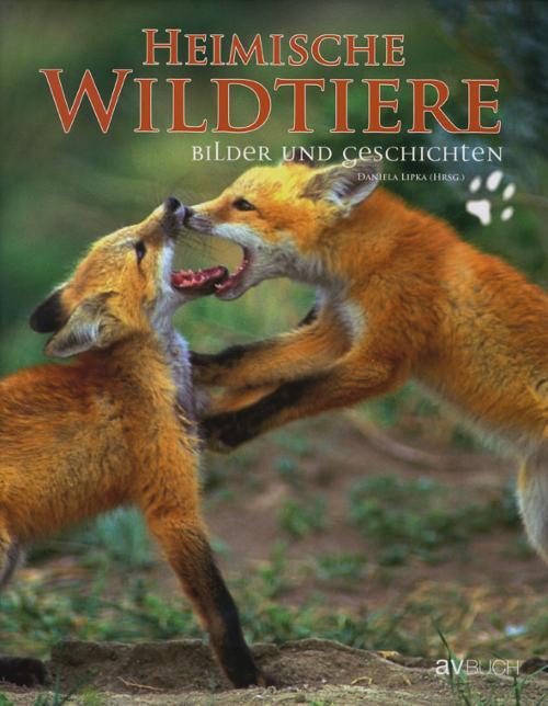 heimische wildtiere bildband natur wald