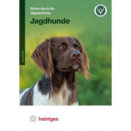 Heintges Jagdhunde