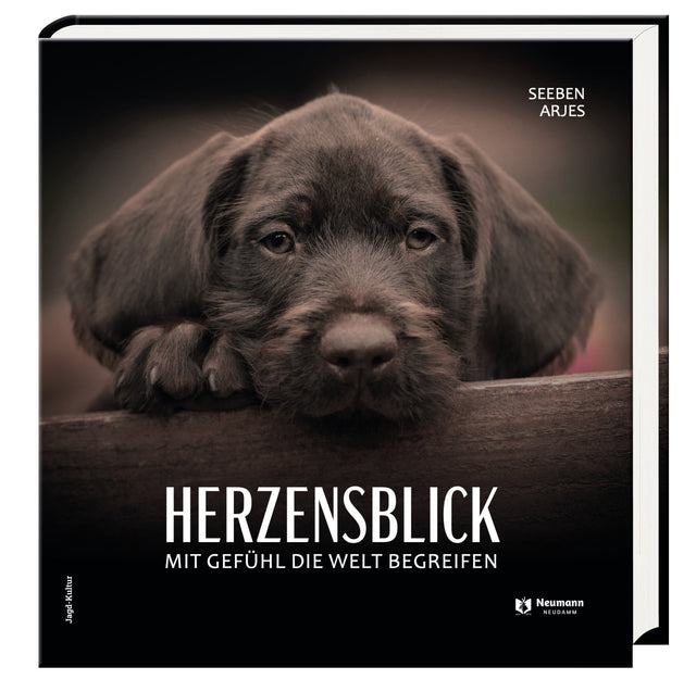 Herzensblick Seeben Arjes Buchcover