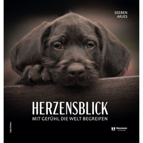 Herzensblick – Mit Gefühl die Welt begreifen 