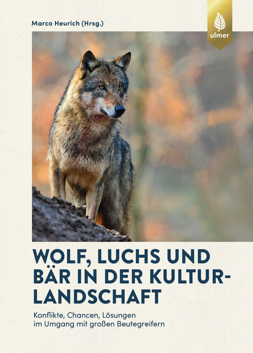 Wolf, Luchs und Bär in