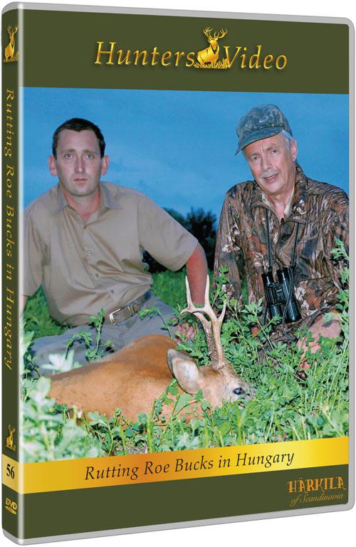 Brunftende Rehböcke in Ungarn DVD