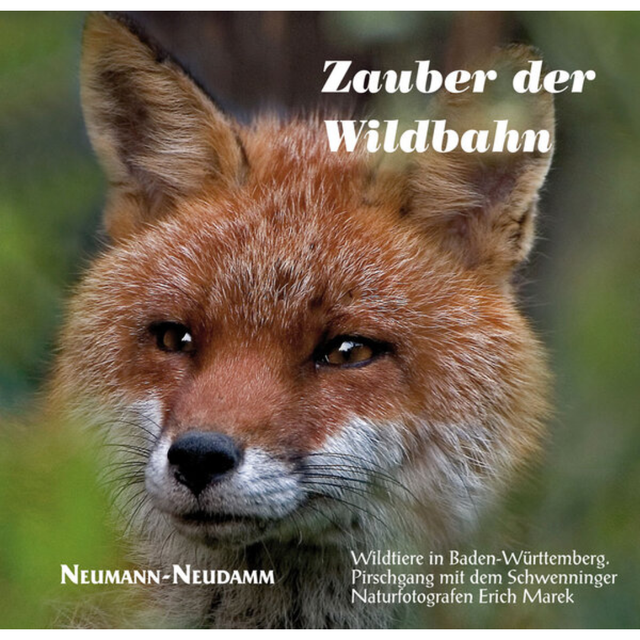 Im Zauber der Wildbahn – Wildtiere in Baden-Württemberg 