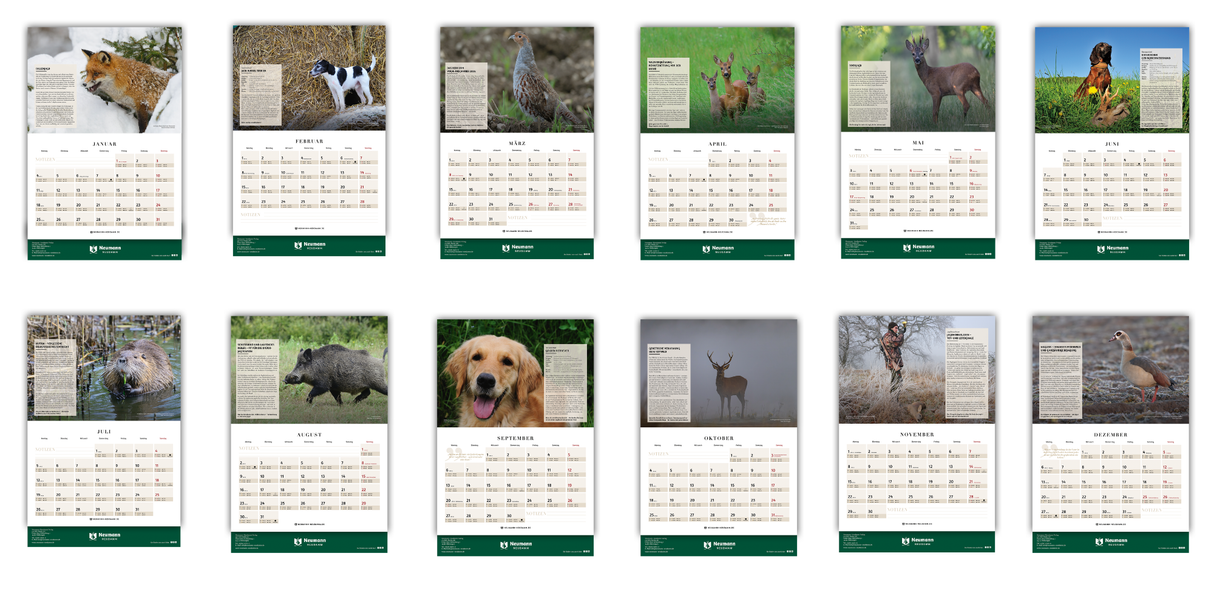 Jagd & Hund Kalender 2027 - Monatsübersicht