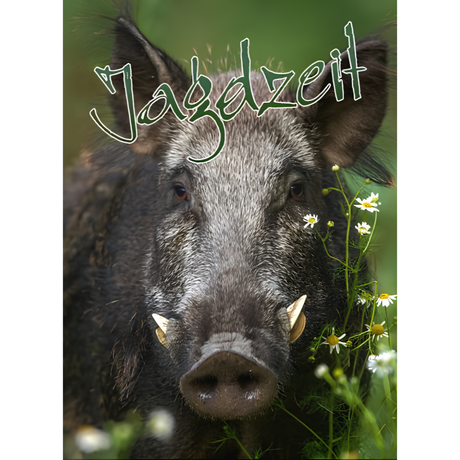 Jagdzeit Ausgabe 44 