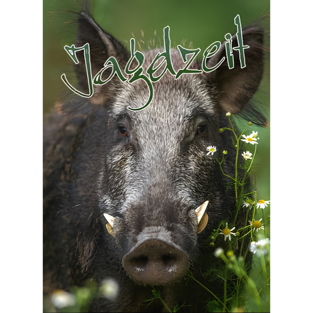 Jagdzeit Ausgabe 44 