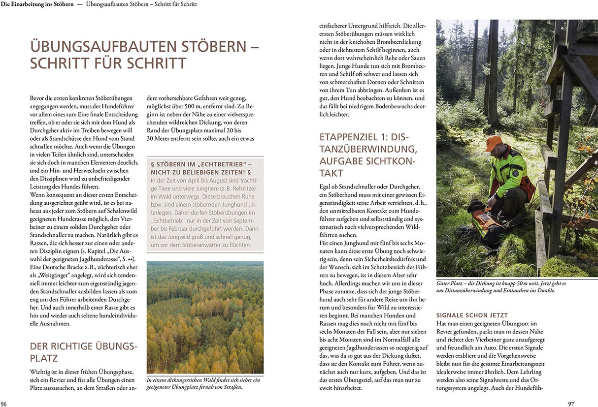 Jagen mit Stöberhunden - Übungsaufgaben