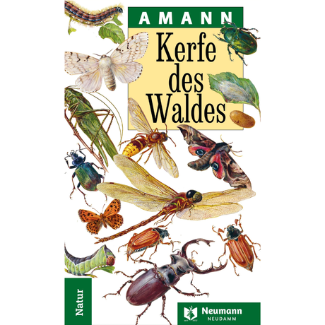Kerfe des Waldes von Gottfried Amann