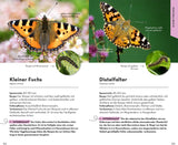Schmetterlinge Bestimmen Buch