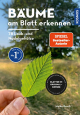baeume am blatt erkennen kosmos natur