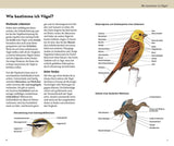 welcher vogel ist das innenansicht