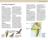 welcher vogel ist das innenansicht 2