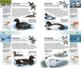 welcher vogel ist das innenansicht 3