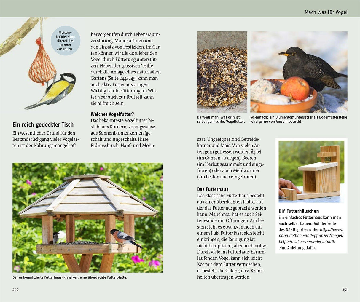 welcher vogel ist das innenansicht 4