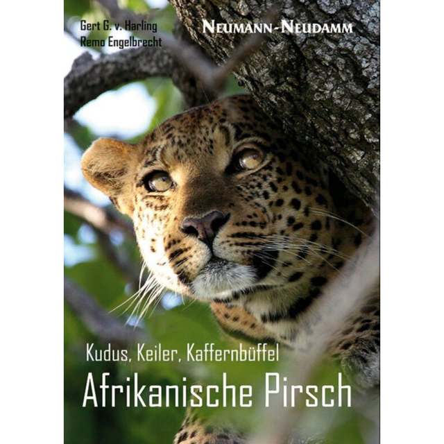 Kudus, Keiler, Kaffernbüffel – Afrikanische Pirsch 
