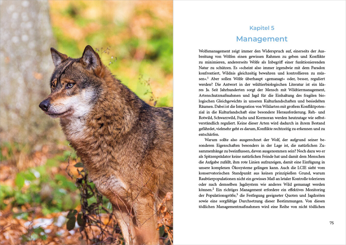Leben mit dem Wolf - Innenansicht 3