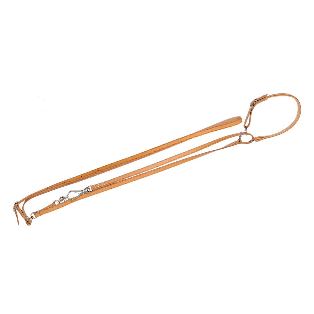 Umhängeleine mit Halsung 10 mm breit