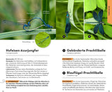 Basic Insekten Libelle bestimmen