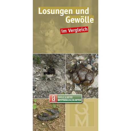 Losungen und Gewölle im Vergleich
