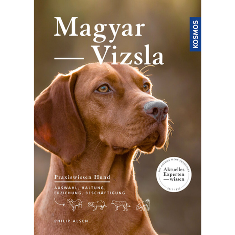 Magyar Vizsla - Auswahl, Haltung, Erziehung, Beschäftigung