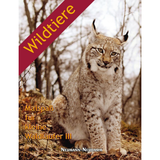 Malspaß für kleine Waldläufer III – Wildtiere