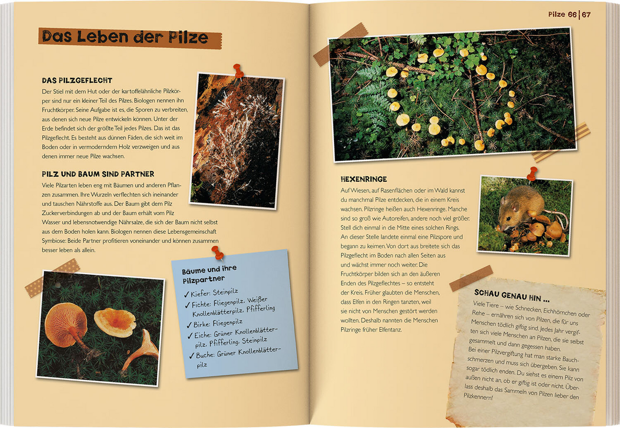 Mein Kosmos-Buch Natur - Das Leben der Pilze