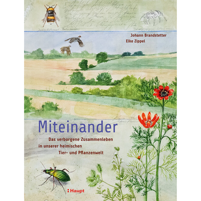 Miteinander - Das verborgene Zusammenleben in unserer heimischen Tier- und Pflanzenwelt
