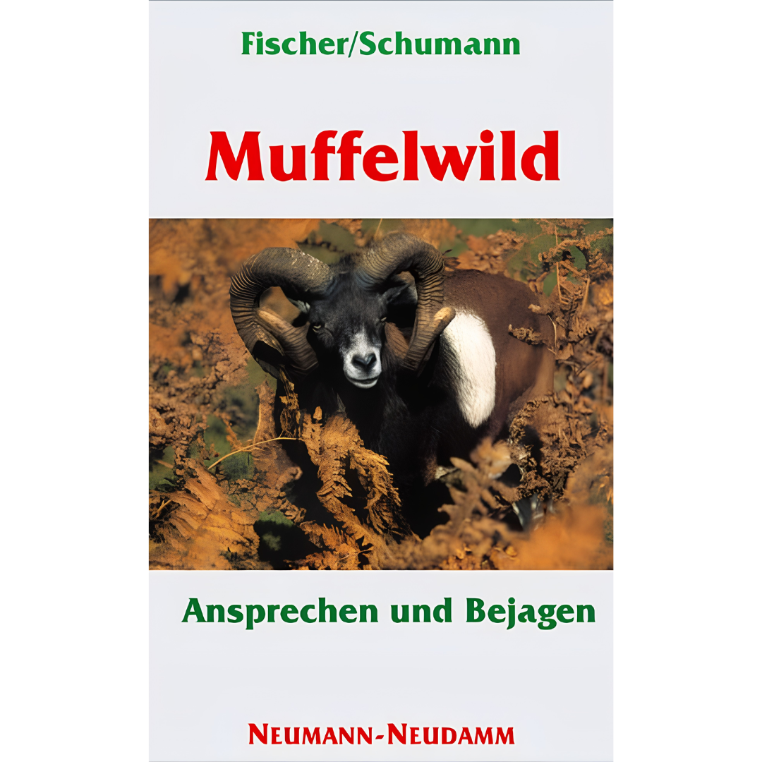 Muffelwild – Ansprechen und Bejagen