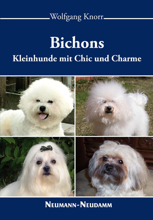 Knorr, Bichons - Kleine Hunde mit
