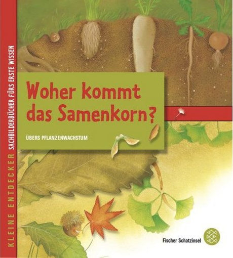 woher kommt das samenkorn kinderbuch