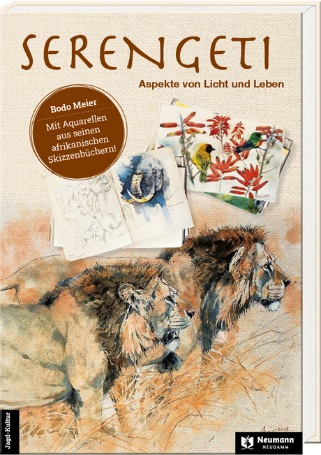 serengeti bodo meier afrika buch