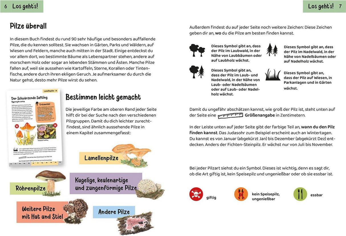 Welcher Pilz ist das, kindernaturfuehrer