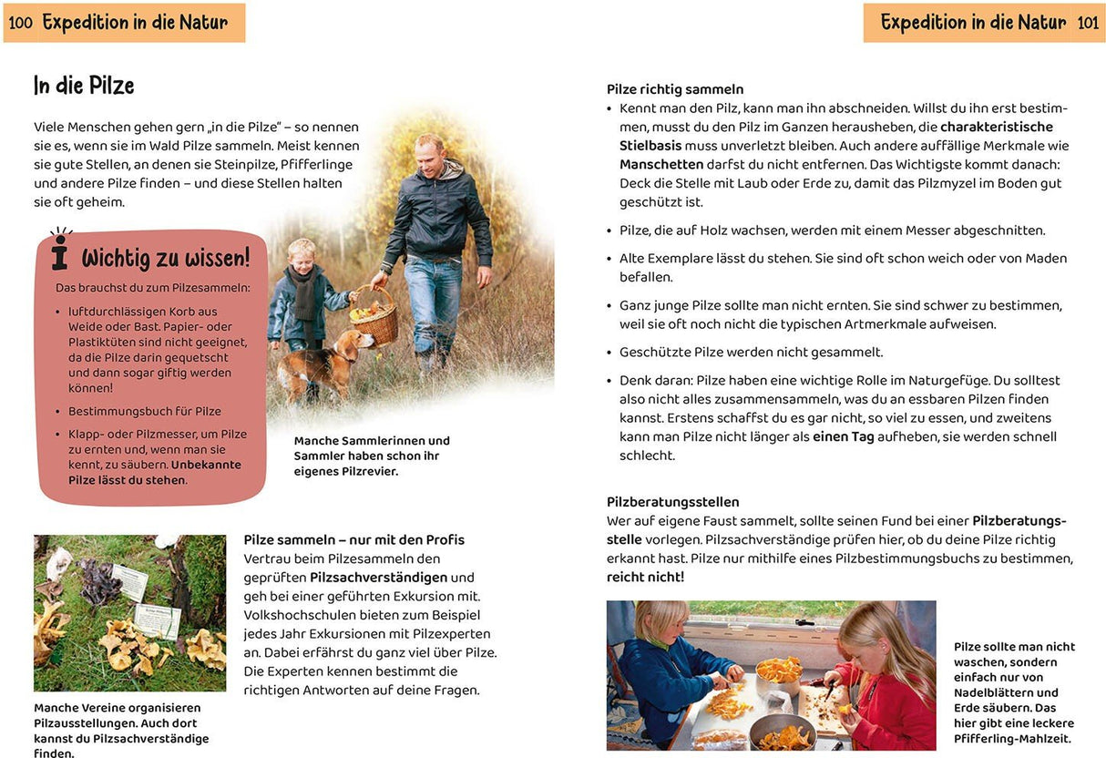 Pilze sammeln mit Kindern Buch