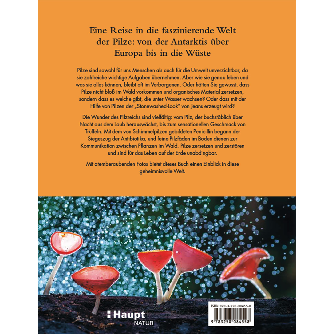 Pilze - Das verborgene Reich der geheimnisvollen Lebewesen - Backcover