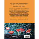 Pilze - Das verborgene Reich der geheimnisvollen Lebewesen - Backcover
