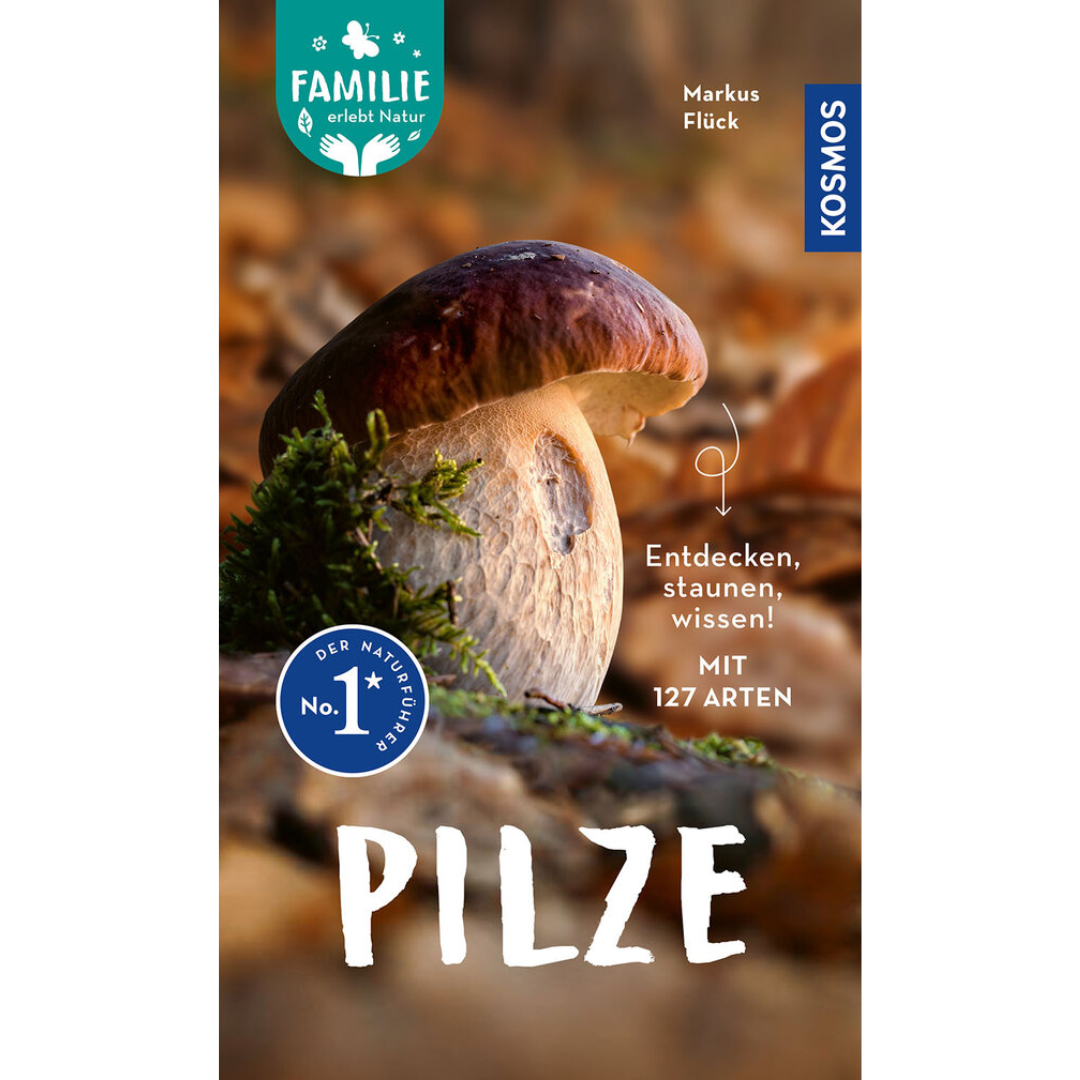Pilze - Entdecken, staunen, wissen! - Markus Flück