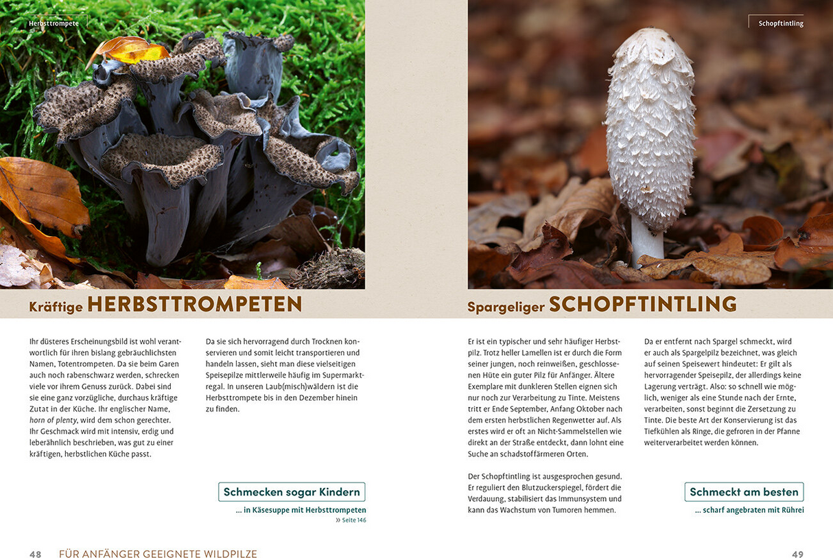 Pilzliebe – Das Waldpilz-Kochbuch | Innenansicht 1