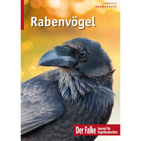 Rabenvögel - Sonderheft