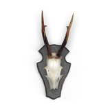 Rehbockbrett Eiche - abgerundete Form - dunkel - Trophäe