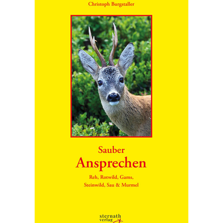 Sauber Ansprechen - Reh, Rotwild, Gams, Steinwild, Sau & Murmel von Christoph Burgstaller