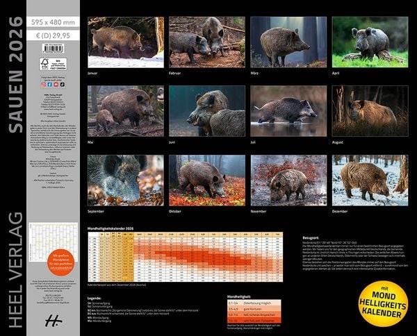 Sauen Kalender XXL Rueckseite