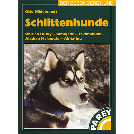 Schlittenhunde von Otto Hildebrandt 