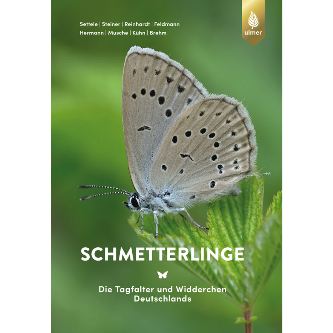 Schmetterlinge - Die Tagfalter und Widderchen Deutschlands.